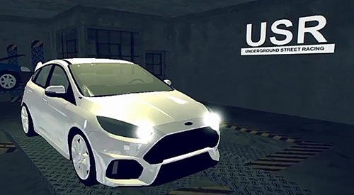 game pic for Underground street racing: USR